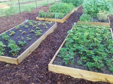 Our Plant Bed Mix vs. bagged soil from a big name store. You don't have to guess which is which!