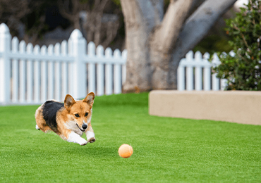 Alt Tab for Services Images1