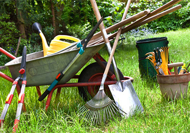 Alt Tab for Services Images3